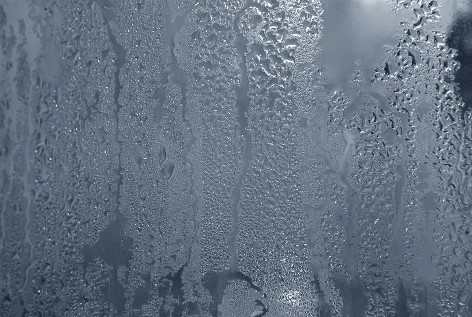 shutterstock_178291844